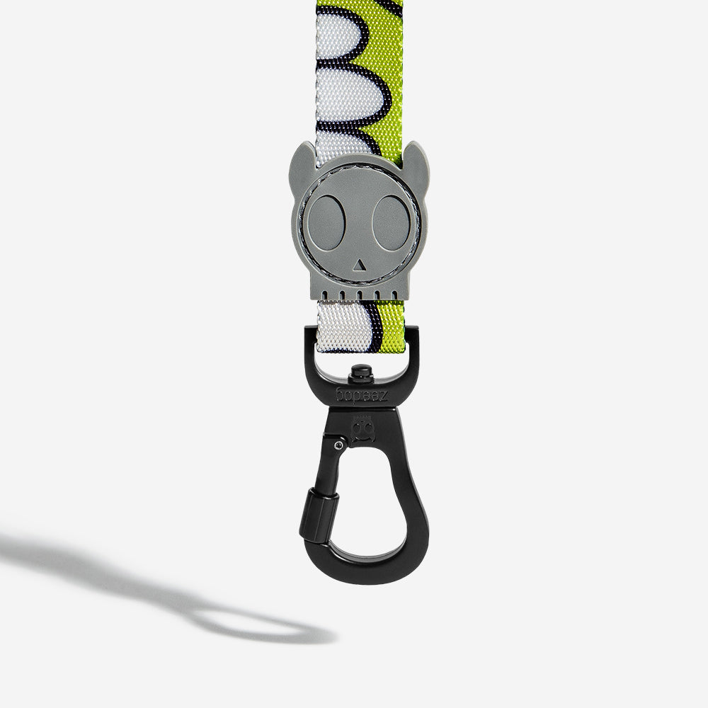 SMASH LEASH