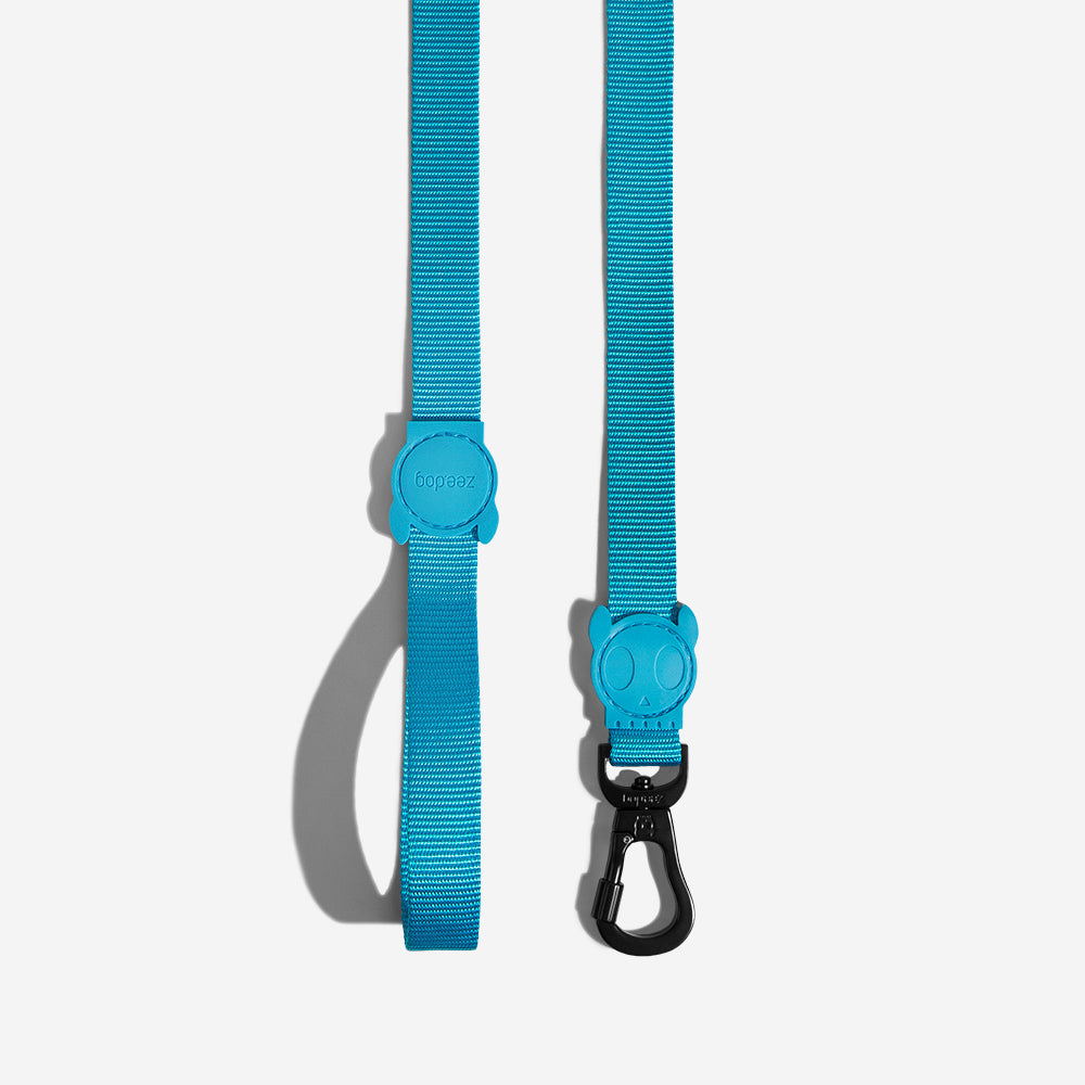 ULTIMATE BLUE LEASH