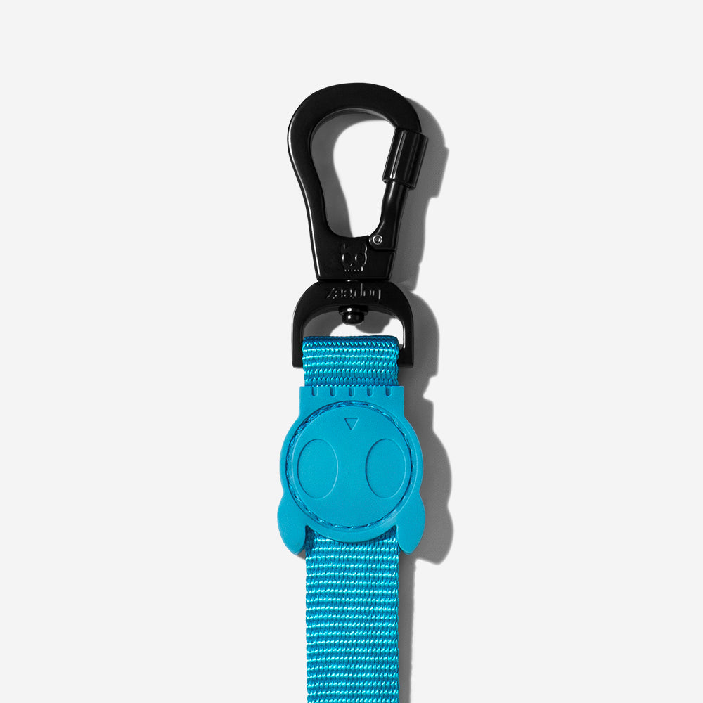 ULTIMATE BLUE LEASH