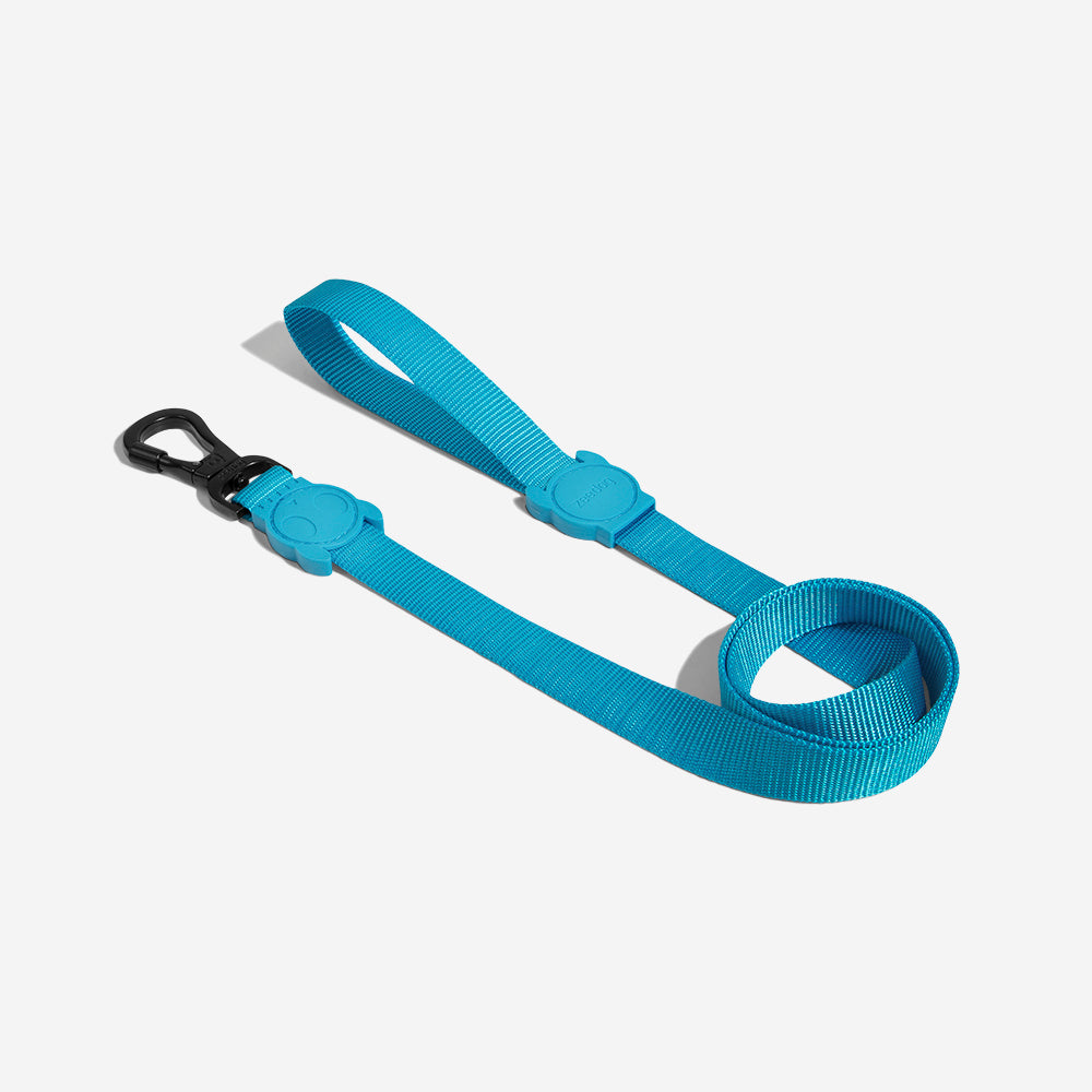 ULTIMATE BLUE LEASH