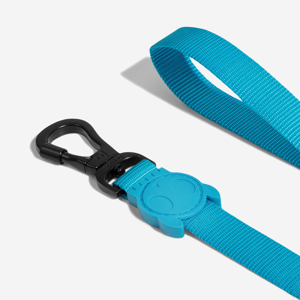 ULTIMATE BLUE LEASH