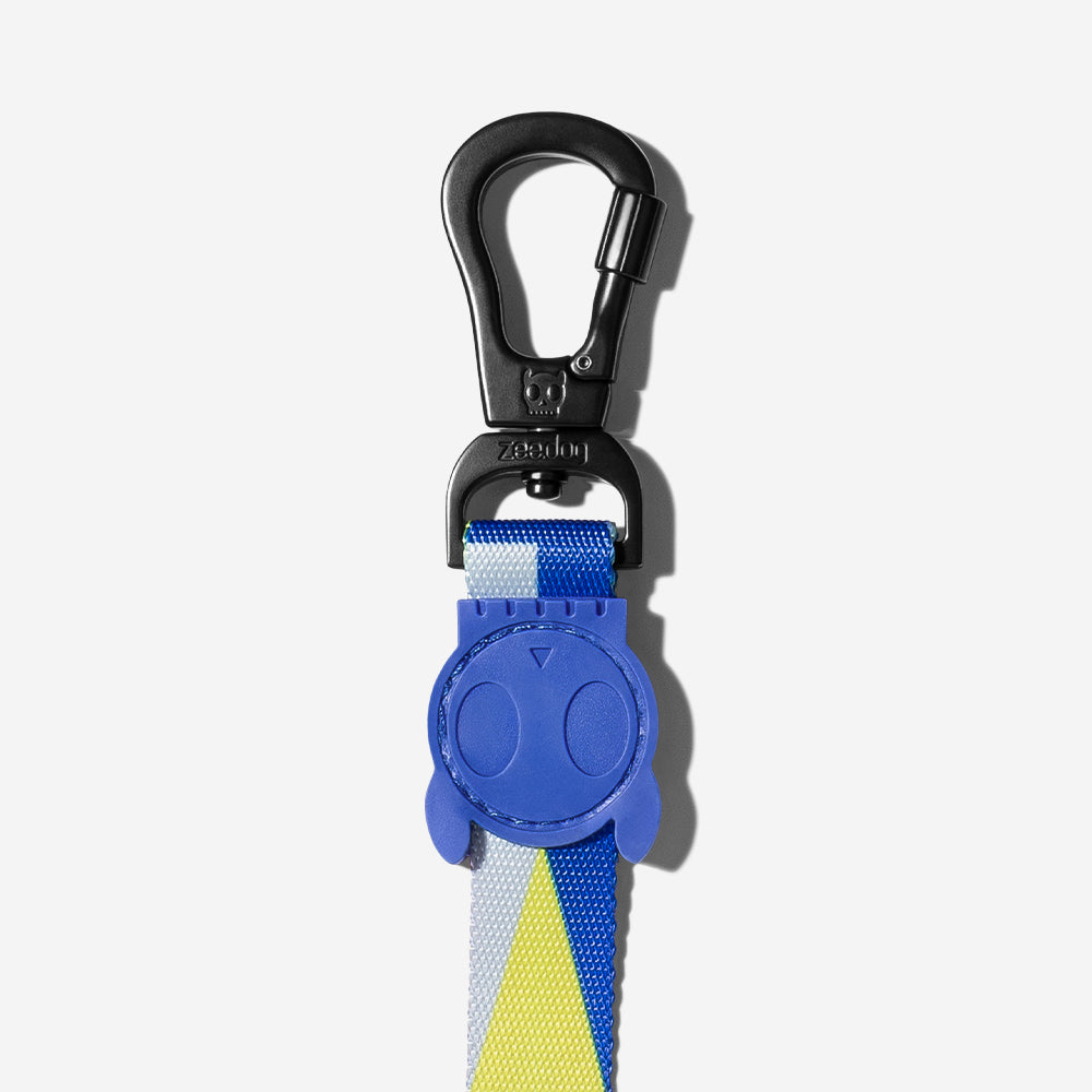 VOLT LEASH