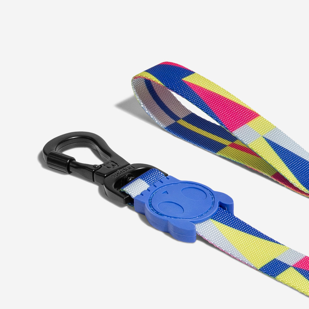 VOLT LEASH
