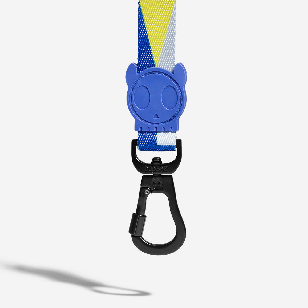 VOLT LEASH