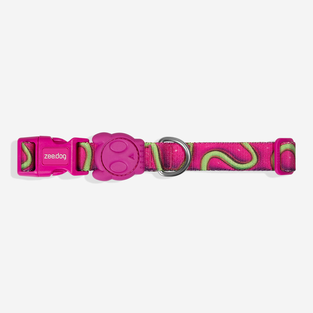 H3D JELLY COLLAR