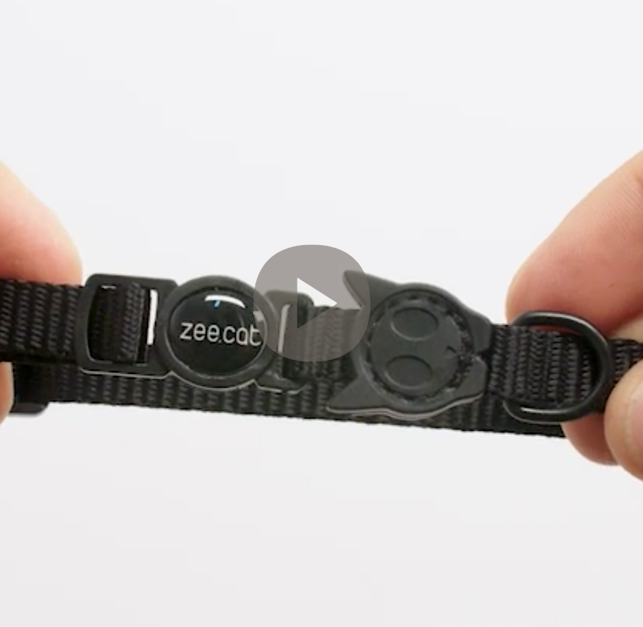 H3D FLY CAT COLLAR