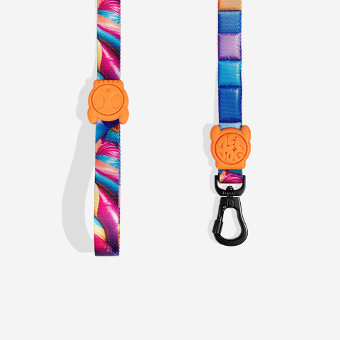 H3D BOUNCE LEASH