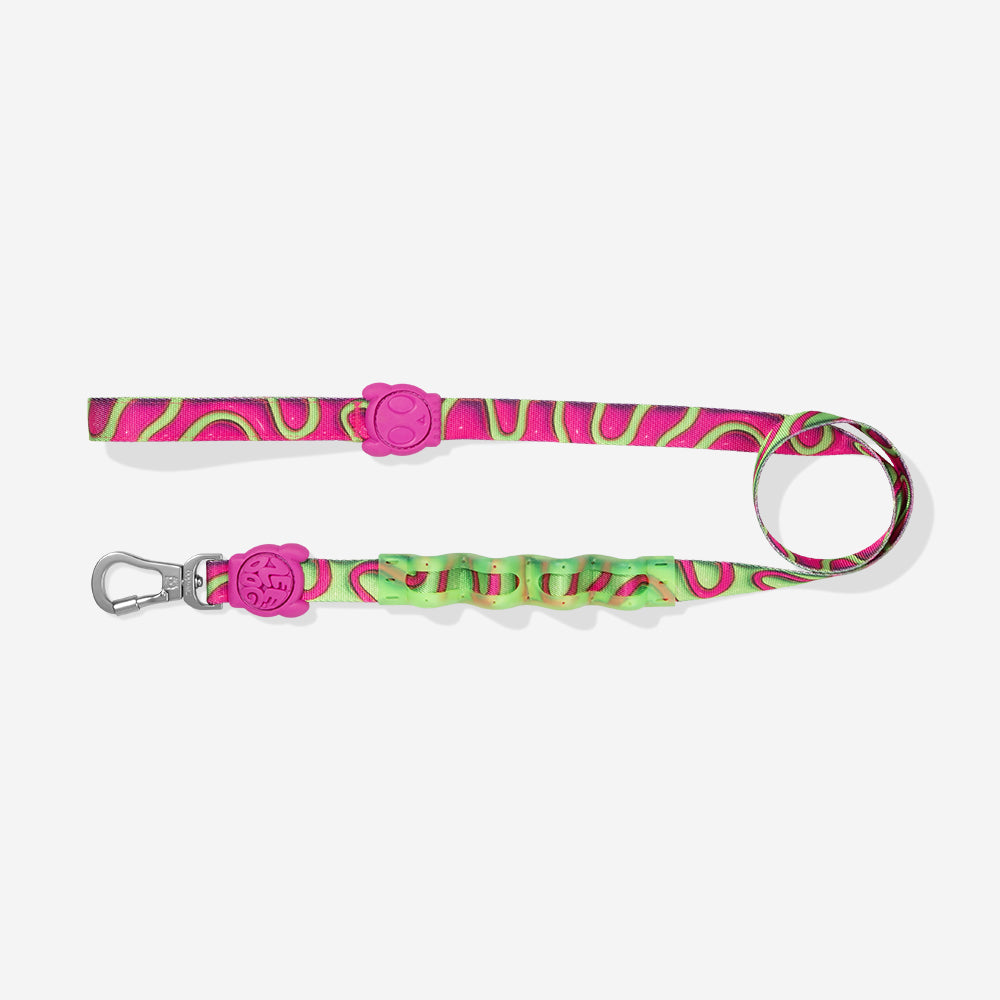 H3D JELLY RUFF LEASH