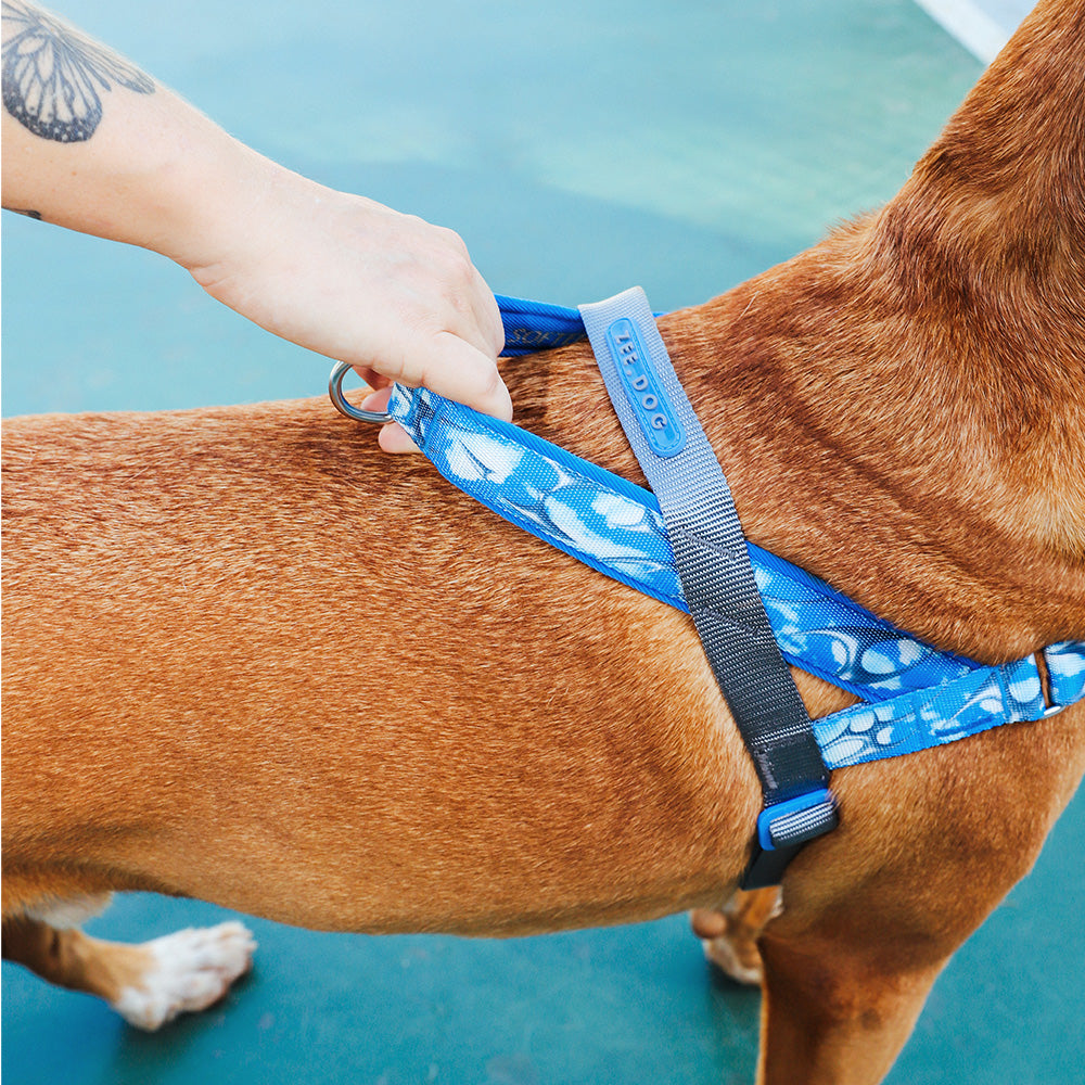 H3D FLY SOFTER WALK HARNESS