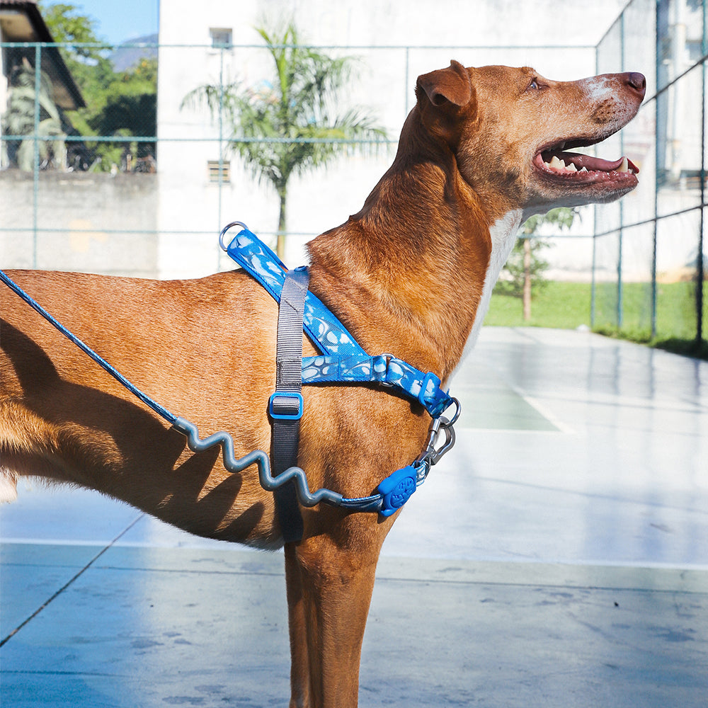 H3D FLY SOFTER WALK HARNESS