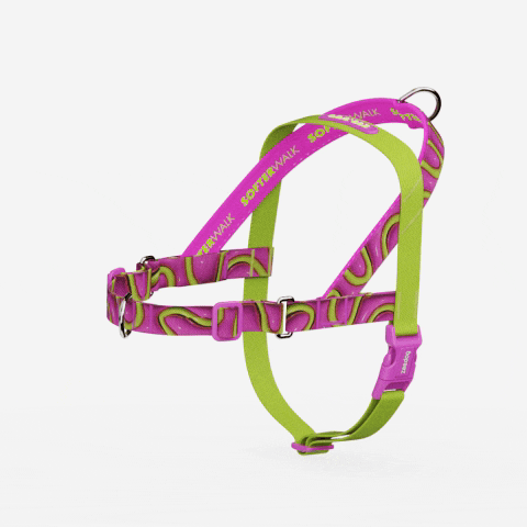 H3D JELLY SOFTER WALK HARNESS