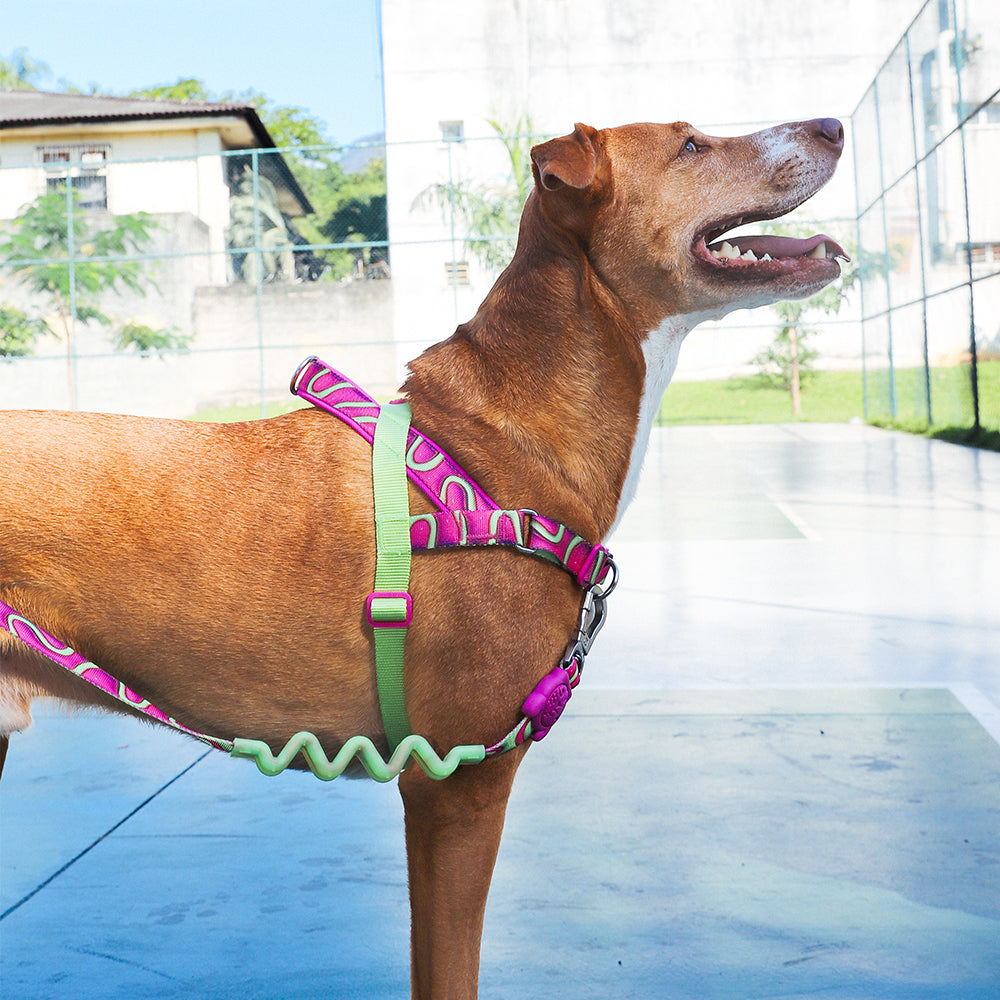 H3D JELLY SOFTER WALK HARNESS