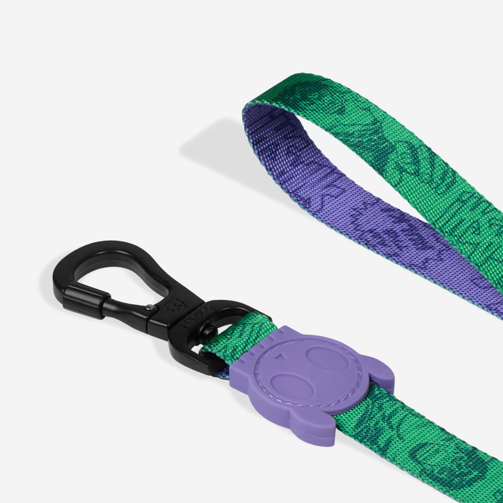 HULK LEASH