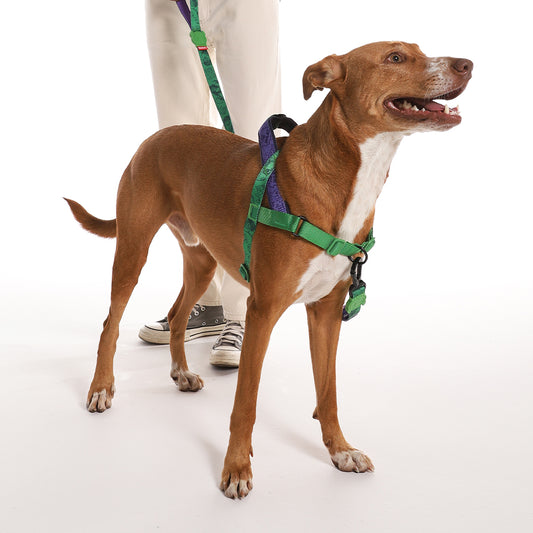 HULK SOFTER WALK HARNESS