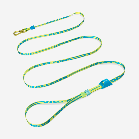 LONG LEASH RAYO