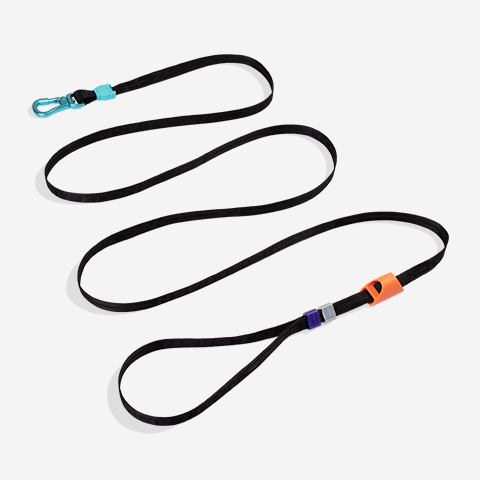 LONG LEASH SEGUNDO