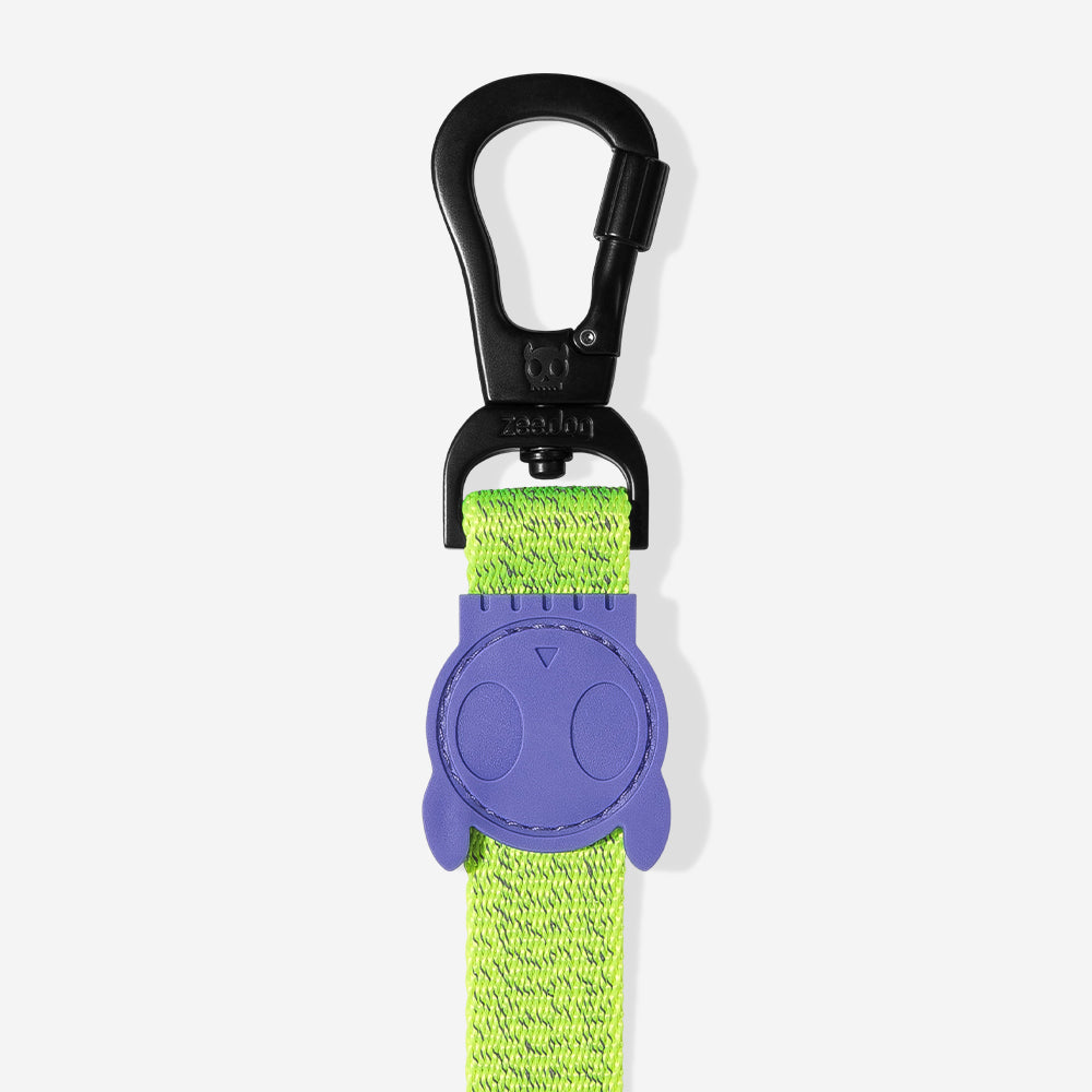 NOX LUMEN LEASH