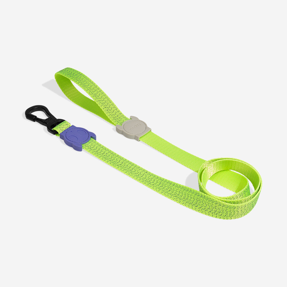 NOX LUMEN LEASH
