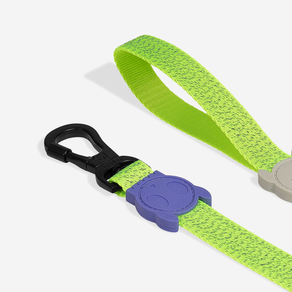 NOX LUMEN LEASH