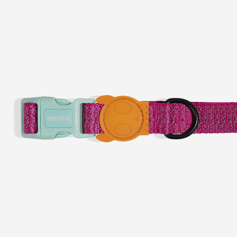 NOX SIDUS COLLAR