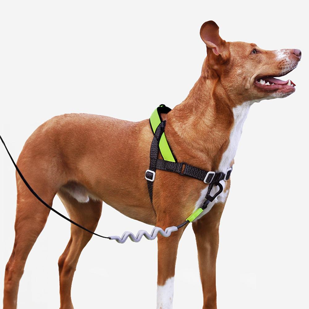 NOX SOFTER WALK HARNESS