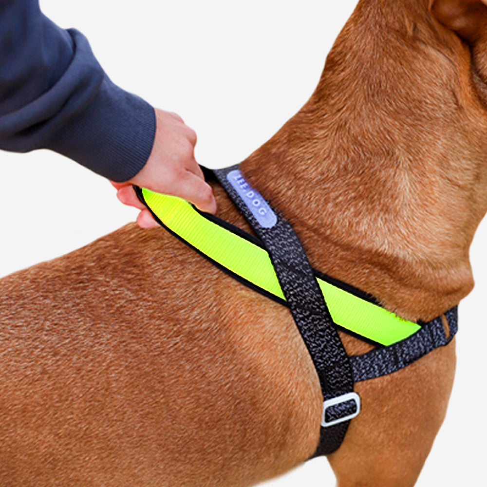 NOX SOFTER WALK HARNESS