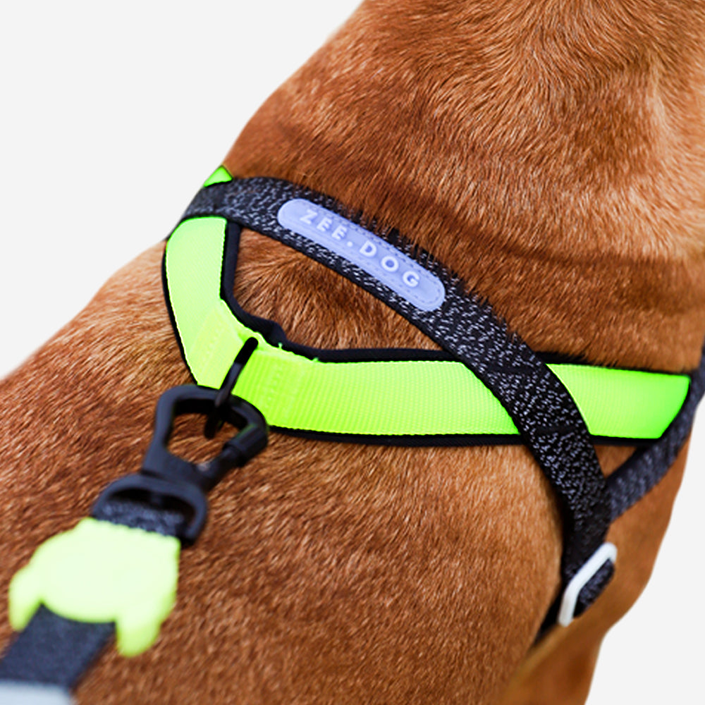 NOX SOFTER WALK HARNESS