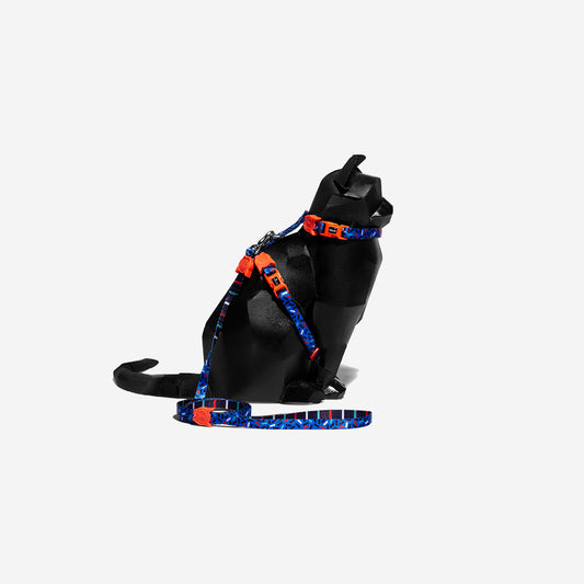 ATLANTA HARNESS + LEASH SET