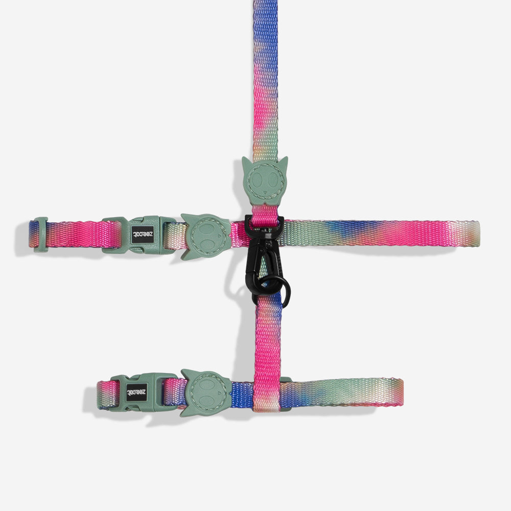 BLISS HARNESS + LEASH SET