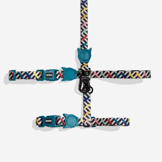 FRITZ HARNESS + LEASH
