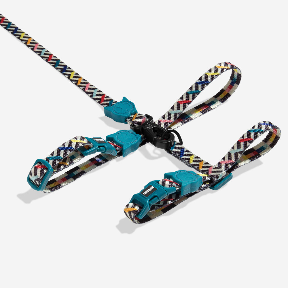 FRITZ HARNESS + LEASH