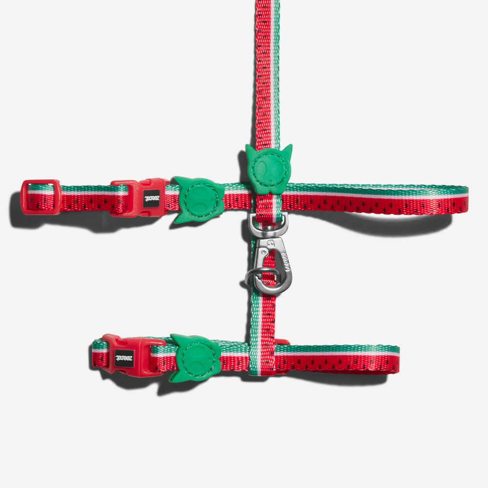 LOLA HARNESS + LEASH SET