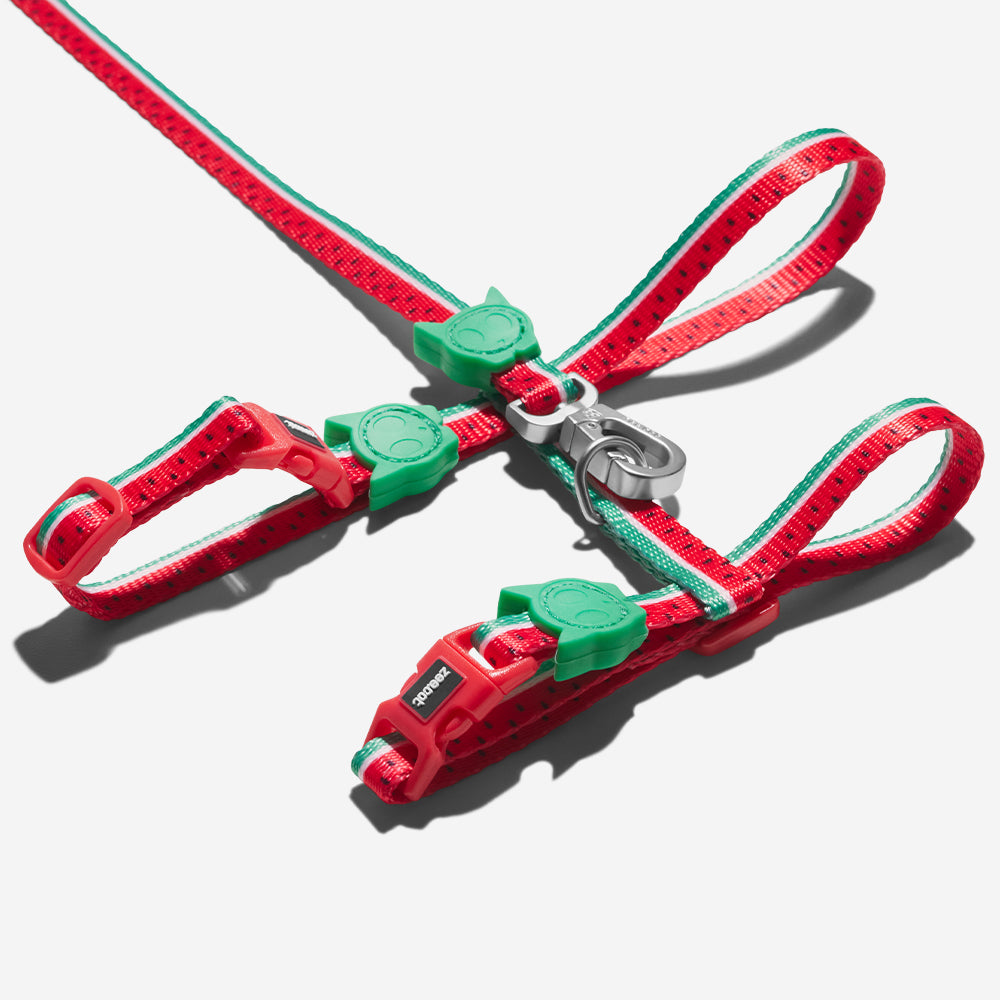 LOLA HARNESS + LEASH SET