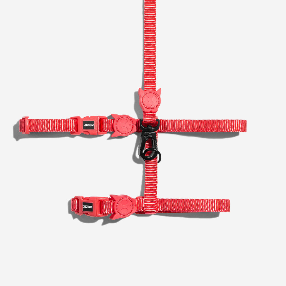 NEON CORAL HARNESS + LEASH SET