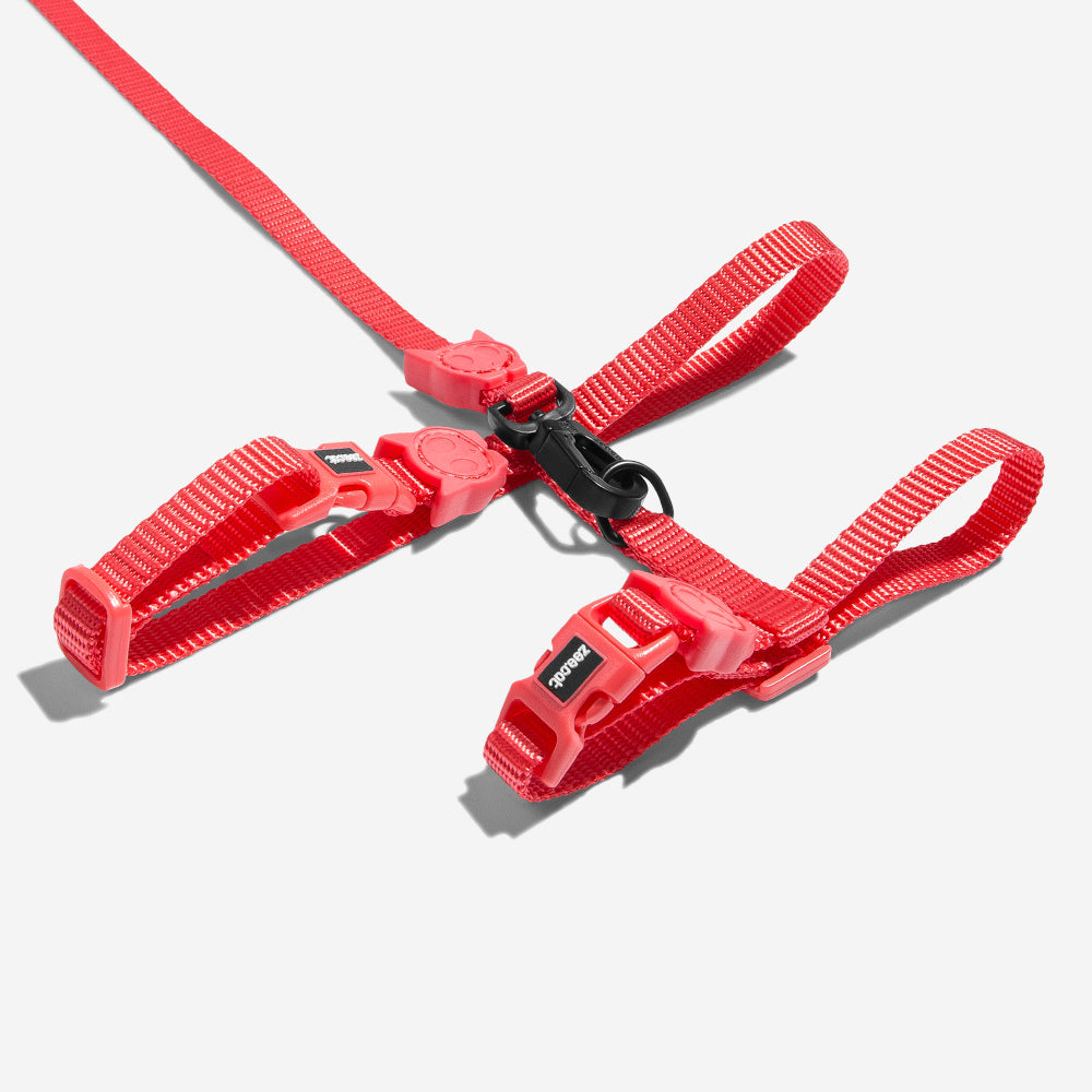 NEON CORAL HARNESS + LEASH SET