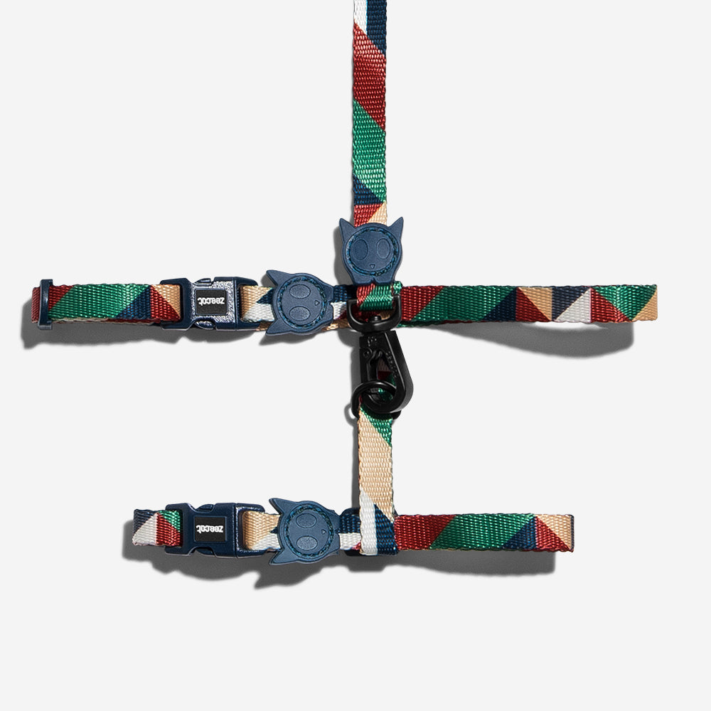 PACCO HARNESS + LEASH SET