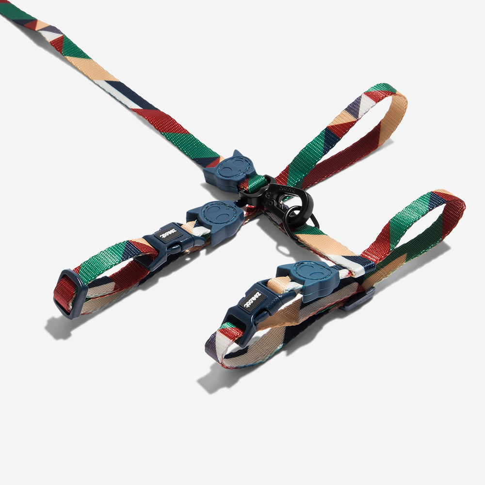 PACCO HARNESS + LEASH SET
