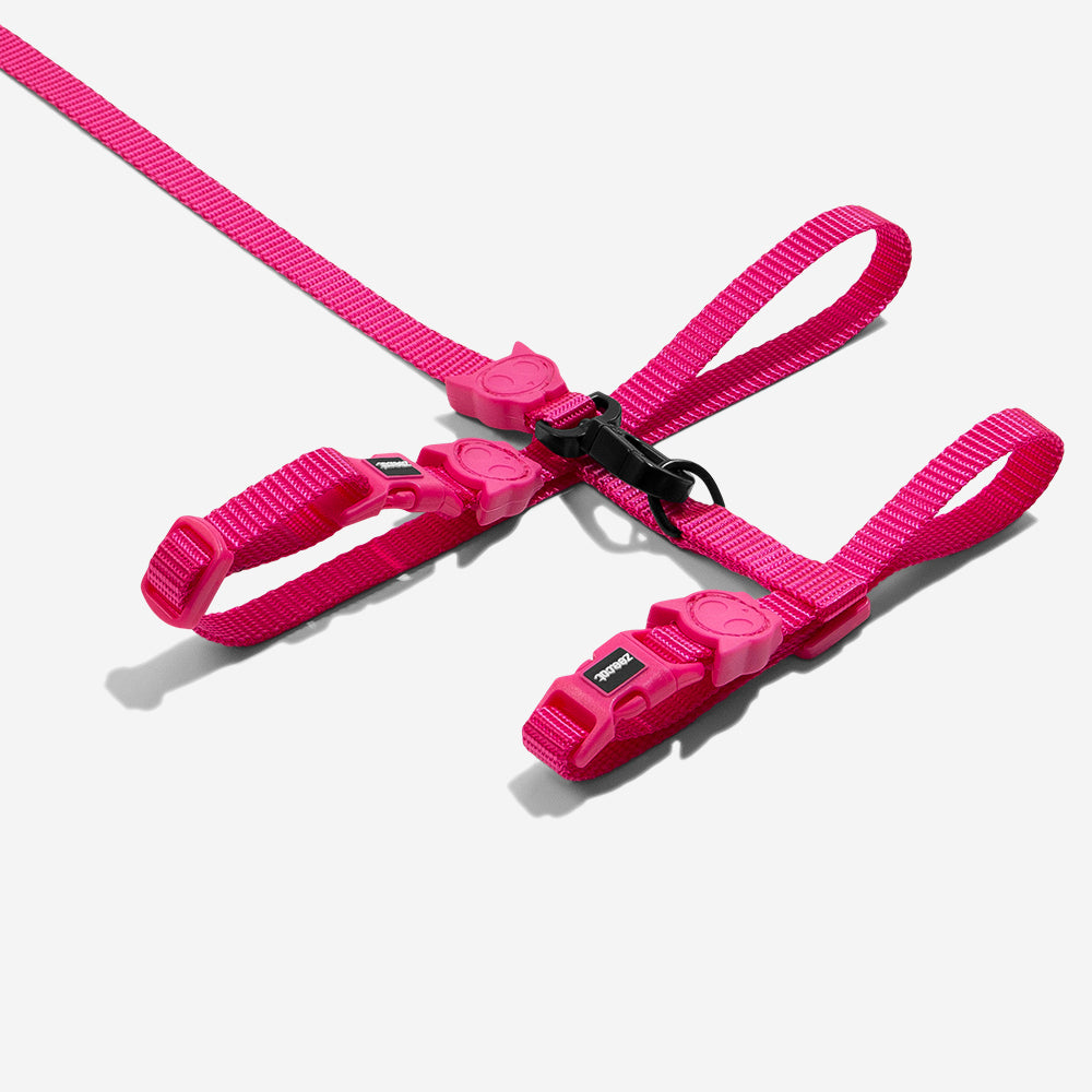 PINK LED HARNESS + LEASH SET