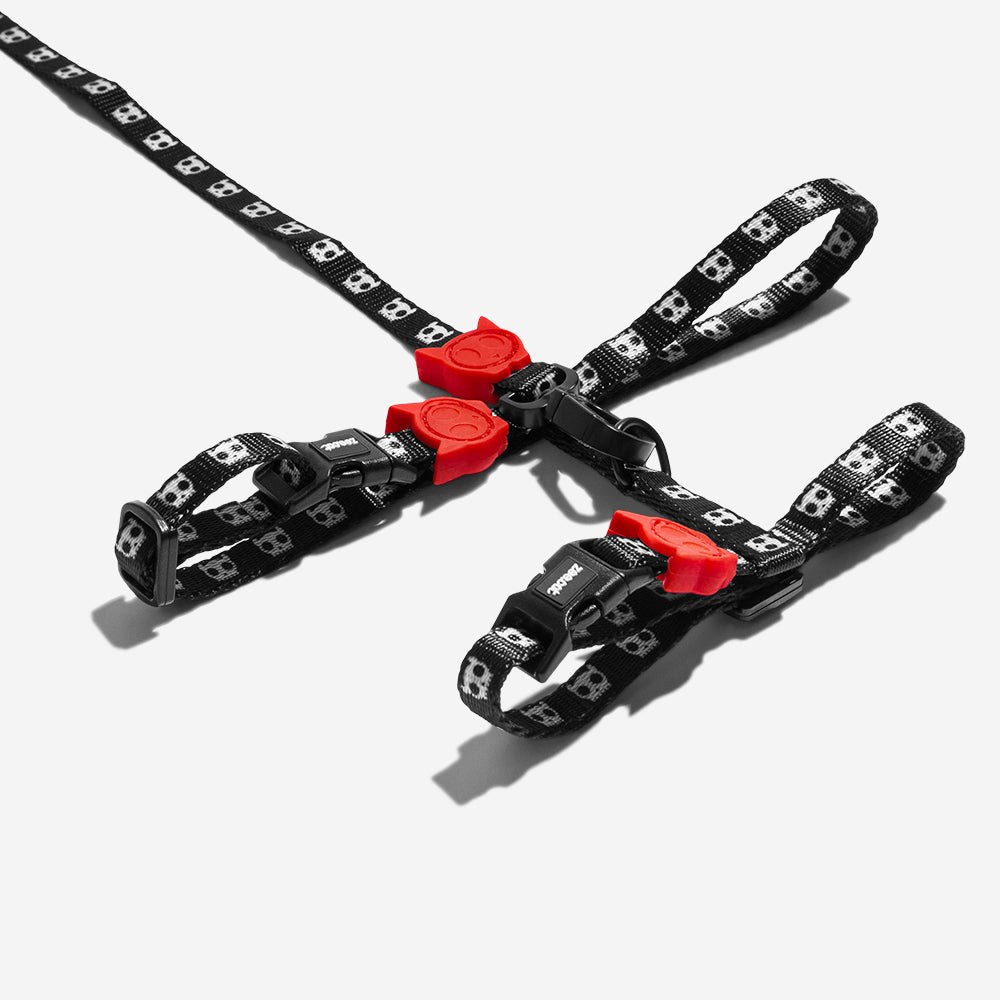 SKULL 2.0 HARNESS + LEASH SET