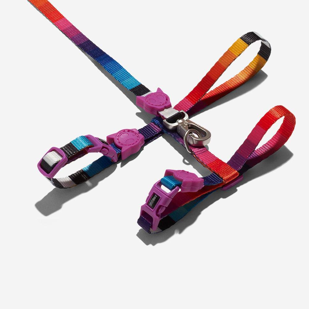 PRISMA HARNESS + LEASH SET