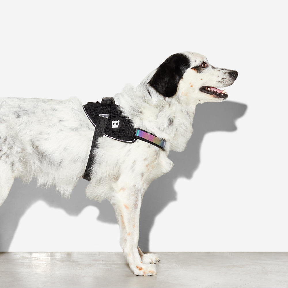 GOTHAM FLYHARNESS