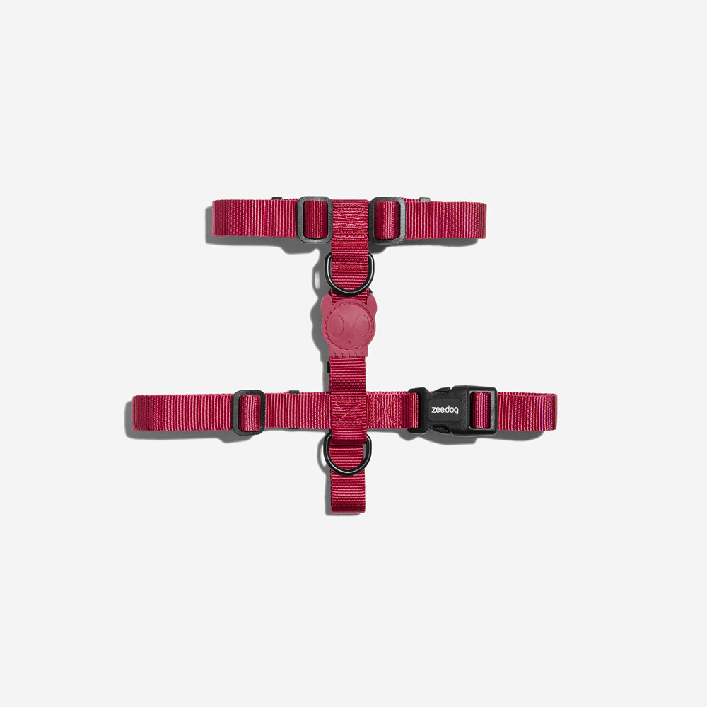 BORDEAU H-HARNESS