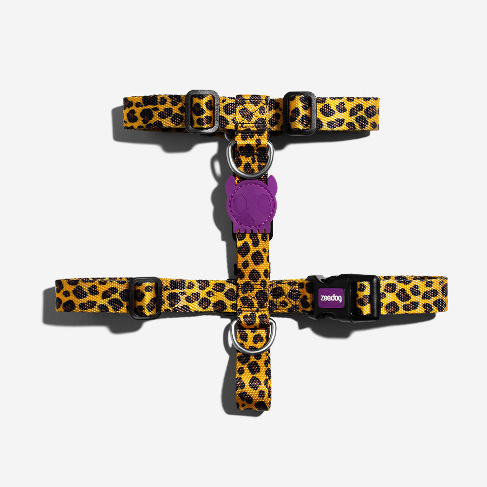 HONEY H-HARNESS