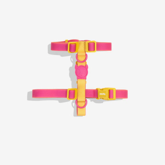 NEOPRO LYRA H-HARNESS