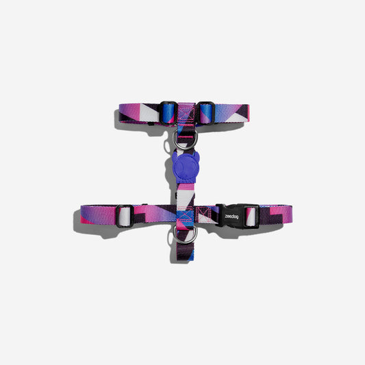 Midnight H-Harness