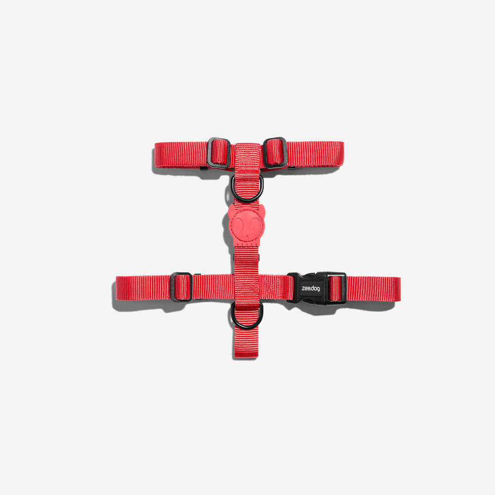 NEON CORAL H-HARNESS