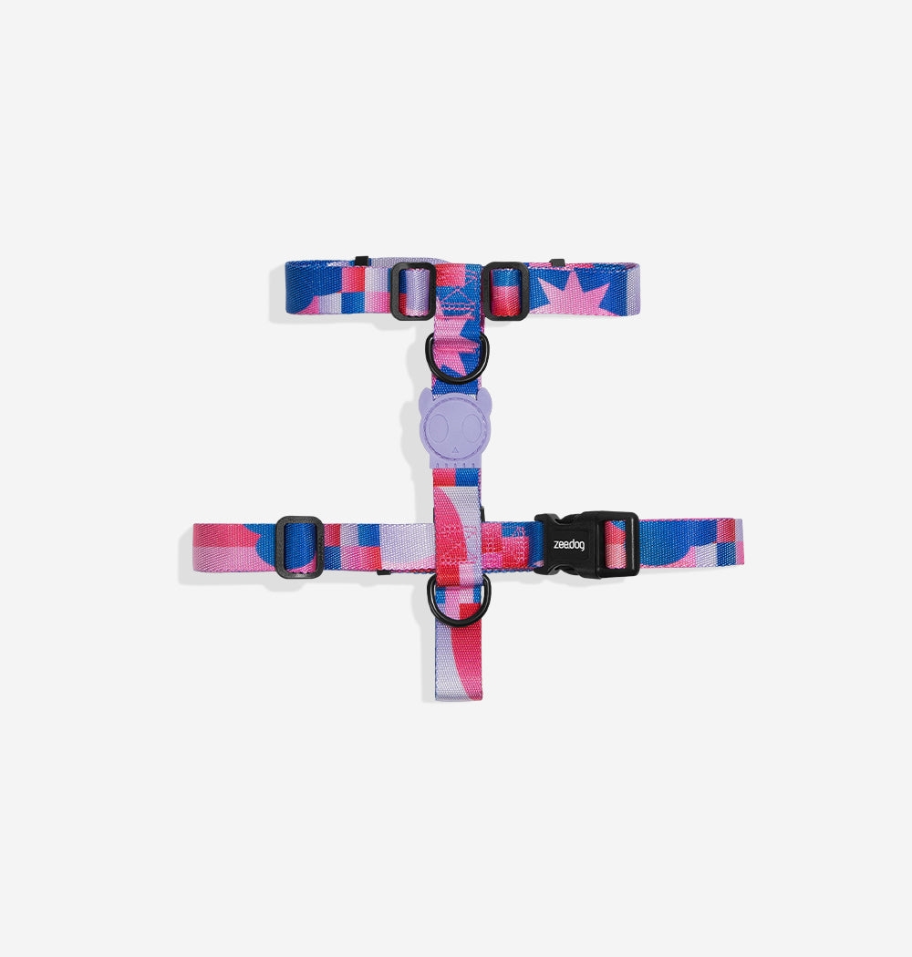 NOON H-HARNESS