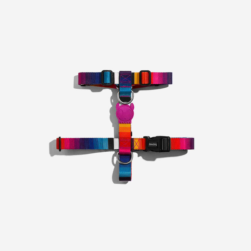 PRISMA H-HARNESS