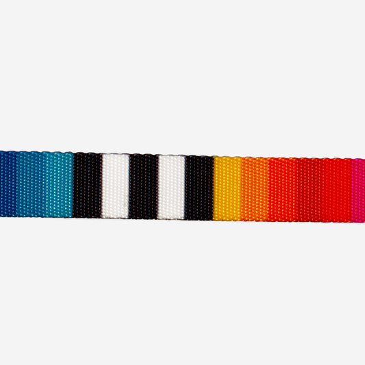 PRISMA H-HARNESS