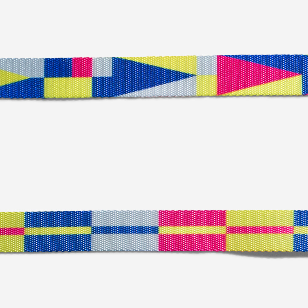 VOLT LEASH